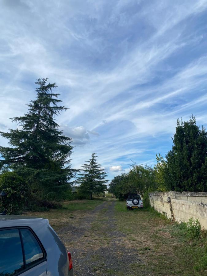 Gites De La Levee Chouzé-sur-Loire Εξωτερικό φωτογραφία